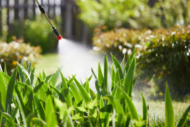 Tamper-Resistant Bait Stations for Rodents in Minier