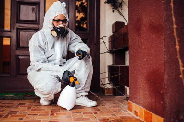 Attic and Crawl Space Rodent Treatment in Minier